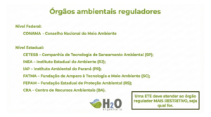 Artigos figura 1 Órgãos ambientais reguladores a nível federal e estadual. (4)