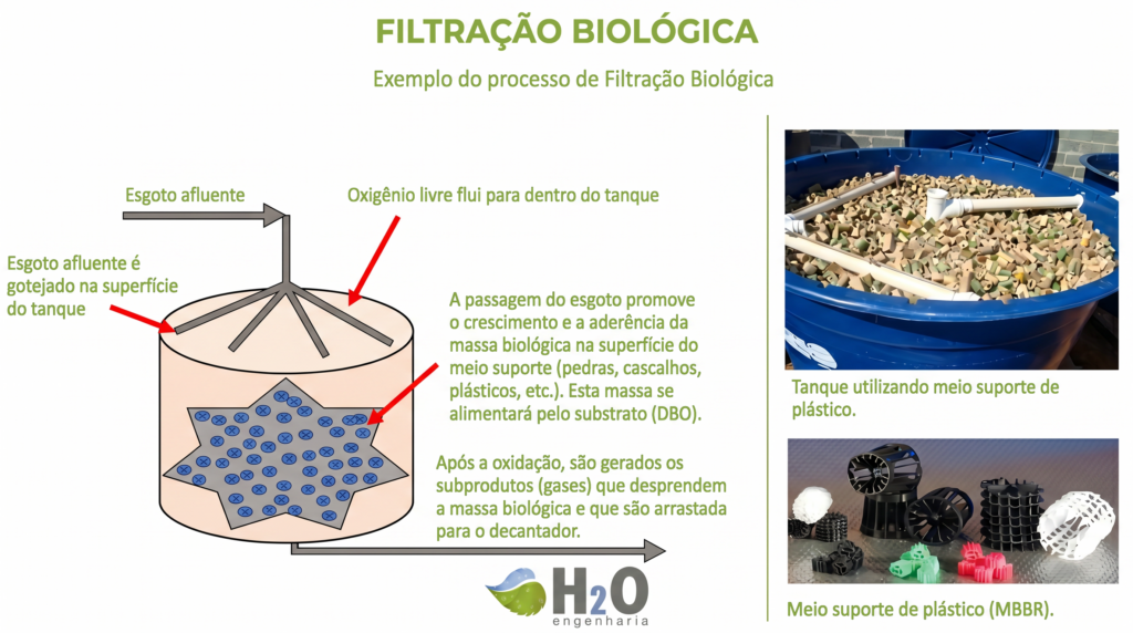 figura 1 – exemplo do processo de filtração biológica