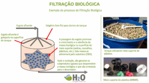 Artigos figura 1 – exemplo do processo de filtração biológica