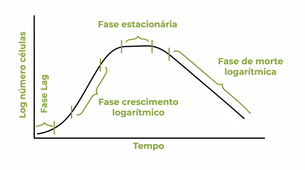 figura 2 curva típica do crescimento bacteriano.